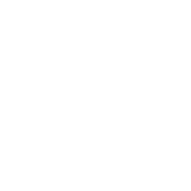 cincinnati reds