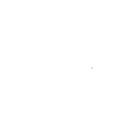 denver broncos