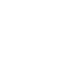 indianapolis colts