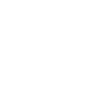 pittsburgh penguins