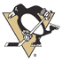 pittsburgh penguins